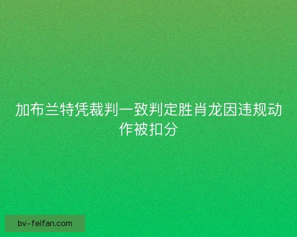 加布兰特凭裁判一致判定胜肖龙因违规动作被扣分 加布兰特凭裁判一致判定胜肖龙因违规动作被扣分