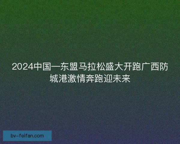 2024中国—东盟马拉松盛大开跑广西防城港激情奔跑迎未来 2024中国—东盟马拉松盛大开跑广西防城港激情奔跑迎未来